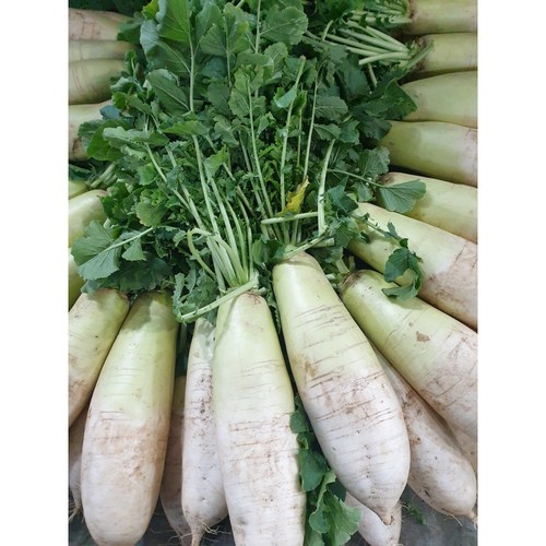 경산마트무우, 현명한 소비자의 특급 선택 가이드 🌟