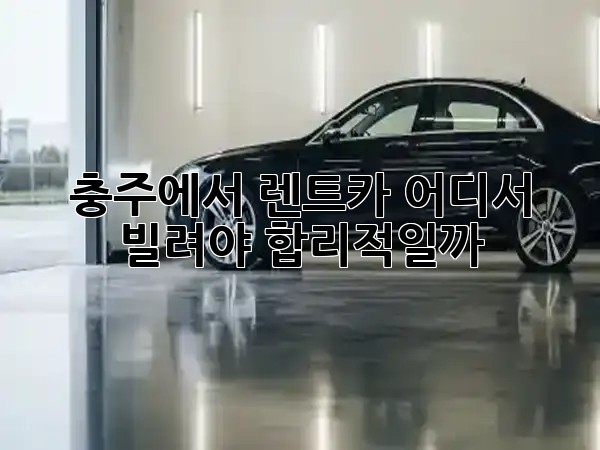 충주에서 렌트카, 어디서 빌려야 합리적일까? 🚗🤔