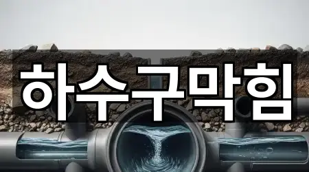 경기도 용인시 수지구 죽전동 하수구막힘 가격/비용 2곳