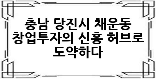 충남 당진시 채운동, 창업투자의 신흥 허브로 도약하다! 🚀💰