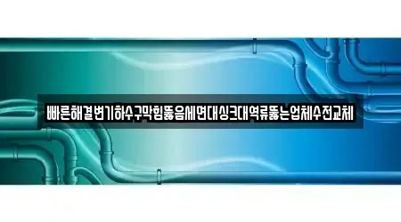 빠른해결변기하수구막힘뚫음세면대싱크대역류뚫는업체수전교체