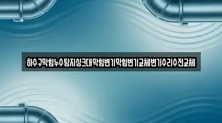 하수구막힘누수탐지싱크대막힘변기막힘변기교체변기수리수전교체