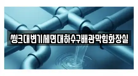 강원 강릉 왕산면 전문 변기뚫음 4업체 위치