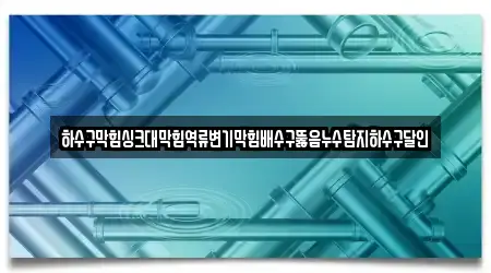 하수구막힘싱크대막힘역류변기막힘배수구뚫음누수탐지하수구달인