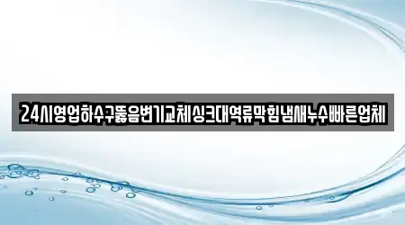 24시영업하수구뚫음변기교체싱크대역류막힘냄새누수빠른업체