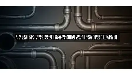 누수탐지하수구막힘싱크대뚫음역류배관고압세척뚫어뻥다고쳐설비