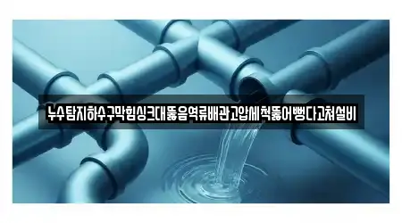 강원 동해시 비천동 추천 하수구막힘 5업체 지도