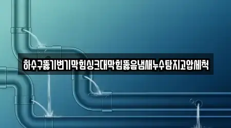 하수구뚫기변기막힘싱크대막힘뚫음냄새누수탐지고압세척