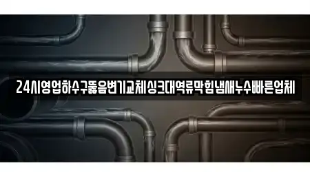 24시영업하수구뚫음변기교체싱크대역류막힘냄새누수빠른업체