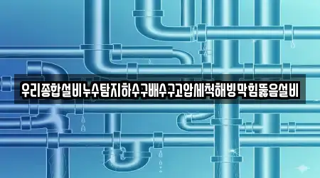 강원특별자치도 성남동 전문 배수구 뚫음 3업체 위치