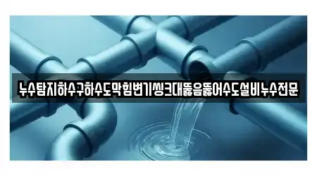 누수탐지하수구하수도막힘변기씽크대뚫음뚫어수도설비누수전문