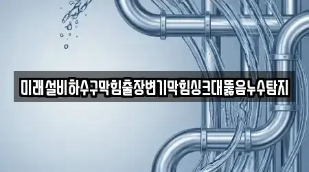 미래설비하수구막힘출장변기막힘싱크대뚫음누수탐지