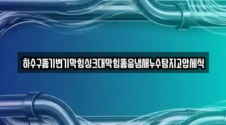 하수구뚫기변기막힘싱크대막힘뚫음냄새누수탐지고압세척