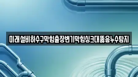 미래설비하수구막힘출장변기막힘싱크대뚫음누수탐지