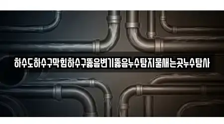 하수도하수구막힘하수구뚫음변기뚫음누수탐지물새는곳누수탐사