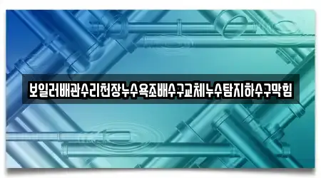 보일러배관수리천장누수욕조배수구교체누수탐지하수구막힘