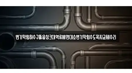 변기막힘하수구뚫음싱크대역류세면대소변기막힘수도꼭지교체수리