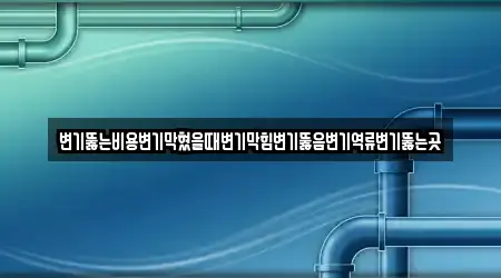 변기뚫는비용변기막혔을때변기막힘변기뚫음변기역류변기뚫는곳