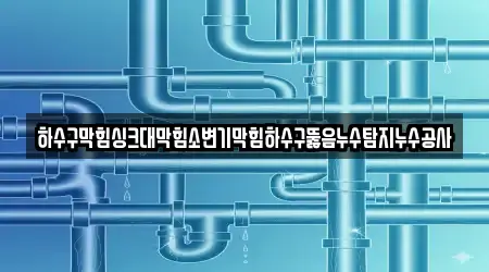 하수구막힘싱크대막힘소변기막힘하수구뚫음누수탐지누수공사