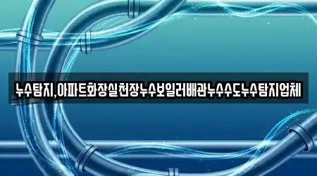 누수탐지,아파트화장실천장누수보일러배관누수수도누수탐지업체