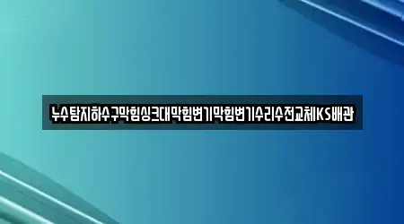 누수탐지하수구막힘싱크대막힘변기막힘변기수리수전교체KS배관