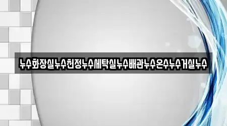 누수화장실누수천정누수세탁실누수배관누수온수누수거실누수