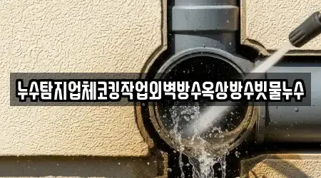 누수탐지업체코킹작업외벽방수옥상방수빗물누수