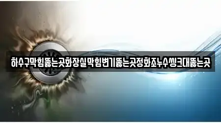 하수구막힘뚫는곳화장실막힘변기뚫는곳정화조누수씽크대뚫는곳