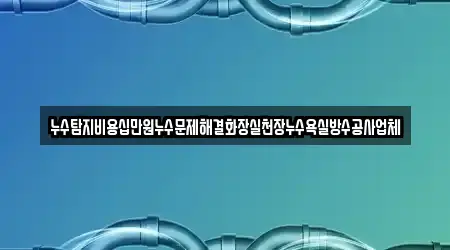 누수탐지비용십만원누수문제해결화장실천장누수욕실방수공사업체