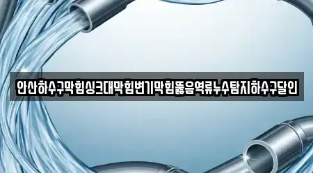 안산하수구막힘싱크대막힘변기막힘뚫음역류누수탐지하수구달인