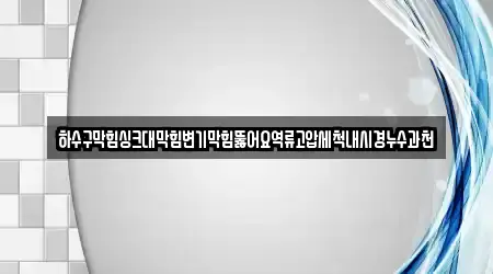하수구막힘싱크대막힘변기막힘뚫어요역류고압세척내시경누수과천