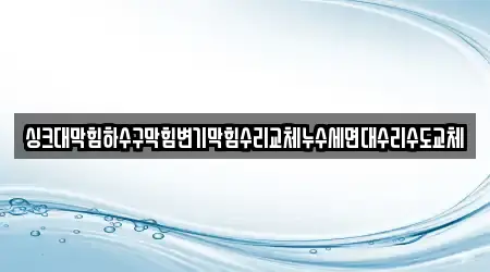 싱크대막힘하수구막힘변기막힘수리교체누수세면대수리수도교체