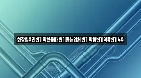 화장실수리변기막혔을때변기뚫는업체변기막힘변기역류변기누수