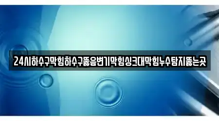 24시하수구막힘하수구뚫음변기막힘싱크대막힘누수탐지뚫는곳