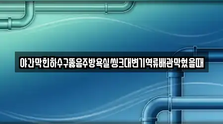 야간막힌하수구뚫음주방욕실씽크대변기역류배관막혔을때