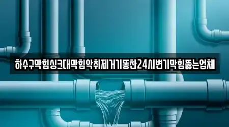하수구막힘싱크대막힘악취제거기똥찬24시변기막힘뚫는업체
