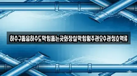 하수구뚫음하수도막힘뚫는곳화장실막힘횡주관오수관청소역류