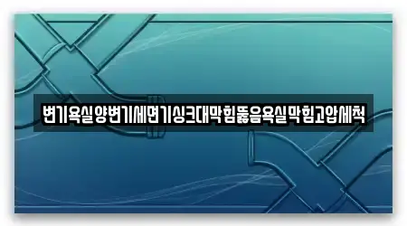 변기욕실양변기세면기싱크대막힘뚫음욕실막힘고압세척