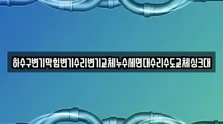 하수구변기막힘변기수리변기교체누수세면대수리수도교체싱크대