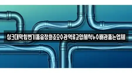 싱크대막힘변기뚫음정화조오수관역류고압세척누수배관뚫는업체