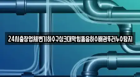 24시출장업체변기하수구싱크대막힘뚫음하수배관뚜러누수탐지