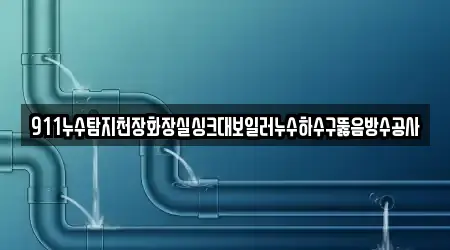911누수탐지천장화장실싱크대보일러누수하수구뚫음방수공사