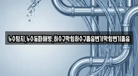 누수탐지,누수동파해빙,하수구막힘하수구뚫음변기막힘변기뚫음