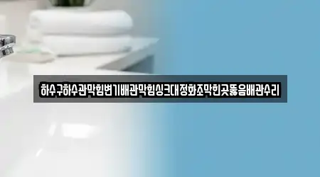 하수구하수관막힘변기배관막힘싱크대정화조막힌곳뚫음배관수리
