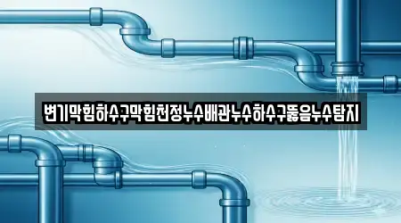 변기막힘하수구막힘천정누수배관누수하수구뚫음누수탐지