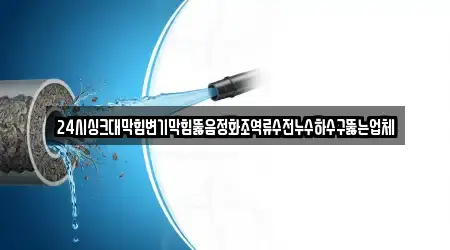 24시싱크대막힘변기막힘뚫음정화조역류수전누수하수구뚫는업체