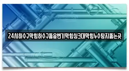 24시하수구막힘하수구뚫음변기막힘싱크대막힘누수탐지뚫는곳