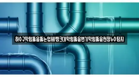 하수구막힘뚫음뚫는업체씽크대막힘뚫음변기막힘뚫음천정누수탐지
