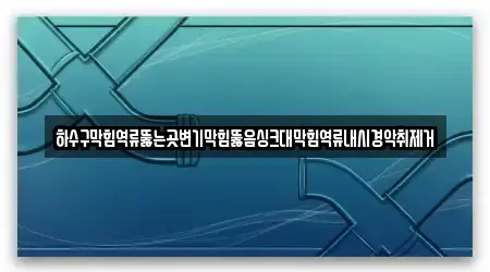 하수구막힘역류뚫는곳변기막힘뚫음싱크대막힘역류내시경악취제거