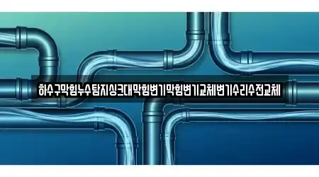 하수구막힘누수탐지싱크대막힘변기막힘변기교체변기수리수전교체